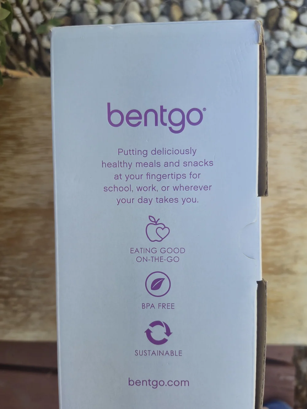 Bentgo Glass 3-Compartment Meal Container with Purple Lid